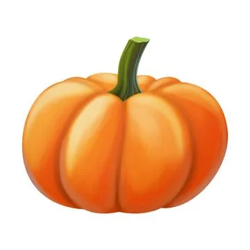 Pumpkin isolated on white background Stock Illustration