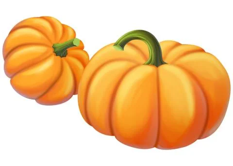 Pumpkin isolated on white background Stock Illustration