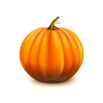 Pumpkin isolated on white background Stock Illustration