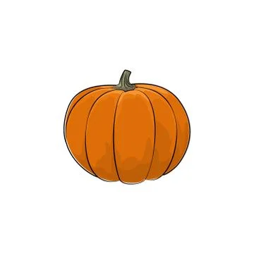 Pumpkin Isolated on White Background イラスト素材