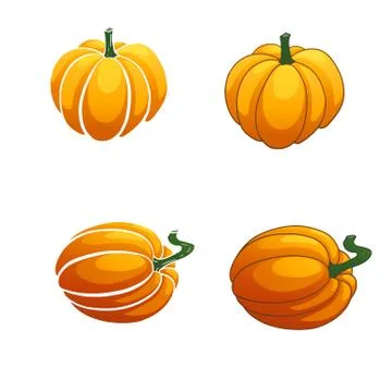 Pumpkin isolated on white background Stock Illustration