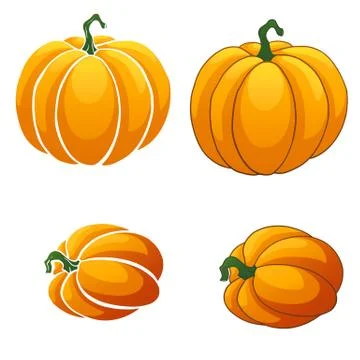 Pumpkin isolated on white background Stock Illustration