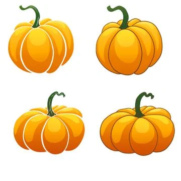 Pumpkin isolated on white background Stock Illustration