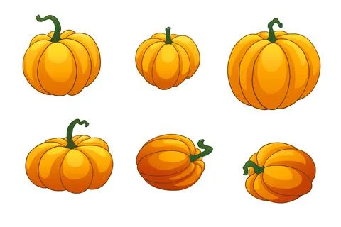 Pumpkin isolated on white background Stock Illustration