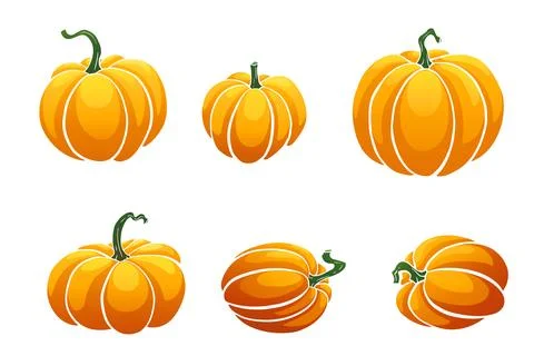 Pumpkin isolated on white background Stock Illustration