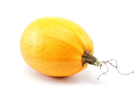 Pumpkin isolated on white background. Stock Photos