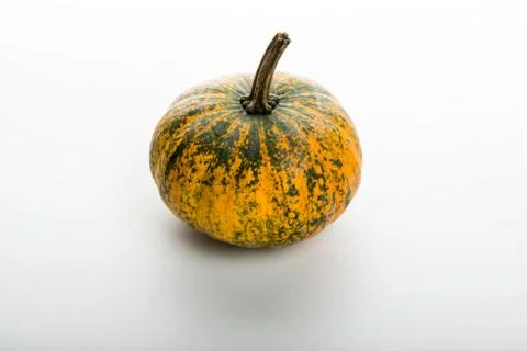 Pumpkin isolated on white background Stock Photos