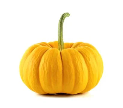 Pumpkin isolated on the white background Stock Photos