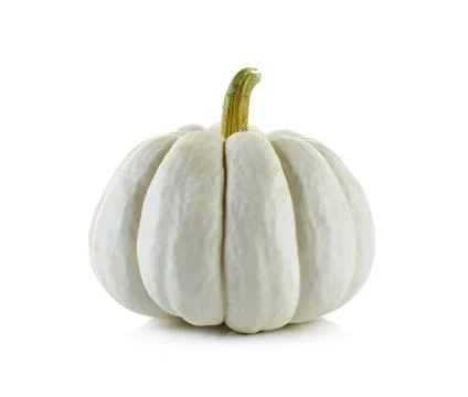 Pumpkin isolated on the white background Stock Photos