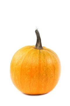 Pumpkin isolated on white background Stock Photos