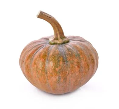Pumpkin isolated on the white background Stock Photos