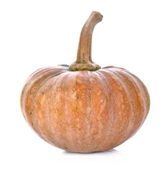 Pumpkin isolated on the white background Foto stock