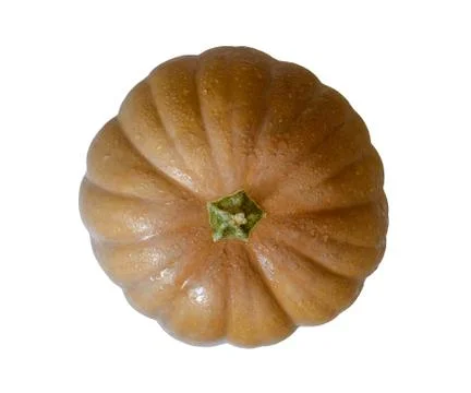 Pumpkin isolated on white background. 库存照片