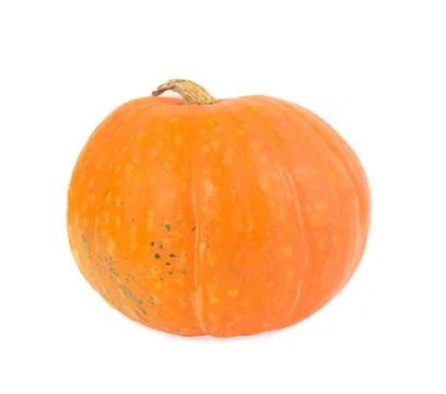 Pumpkin isolated on a white background. Stock Photos