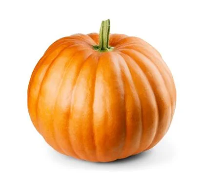 Pumpkin isolated on white background Stock Photos
