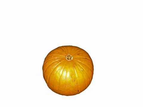 Pumpkin isolated on white background Фото