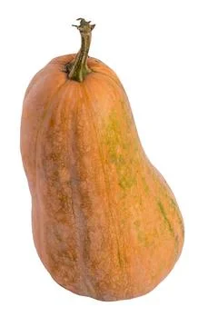 Pumpkin isolated on white background Stock Photos