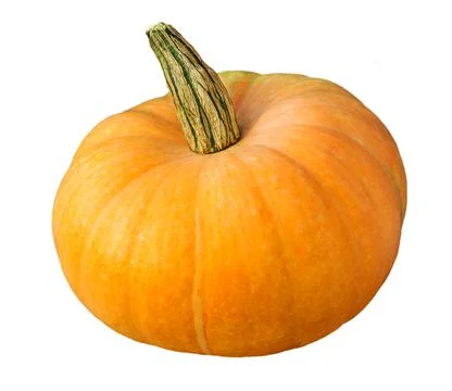 Pumpkin isolated on white with clipping path. Autumn halloween Stock Photos
