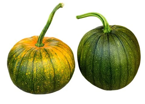 Pumpkin isolated on white with clipping path. Autumn halloween Stock Photos