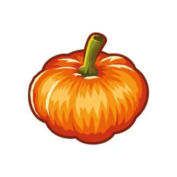 Pumpkin Isolated on White. Flat Design Style. Vector 库存插图