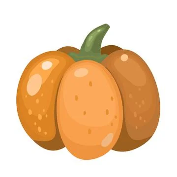 Pumpkin isolated on white. Flat design. Vector illustration of recipes, menus Stock Illustration