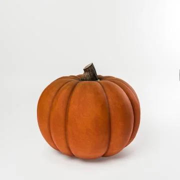 Pumpkin isolated on white Stock Illustration
