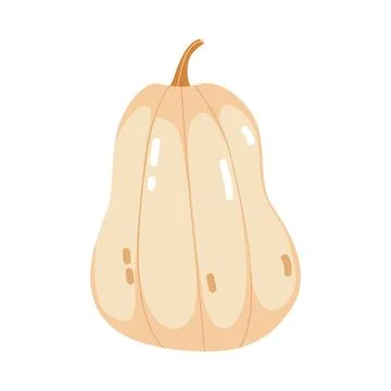 Pumpkin isolated on white Illustrazione stock