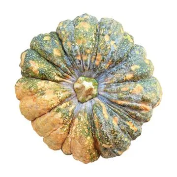 Pumpkin isolated on white Stock Photos
