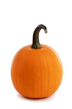Pumpkin isolated on white Stock Photos