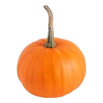 Pumpkin isolated on white Stock Photos