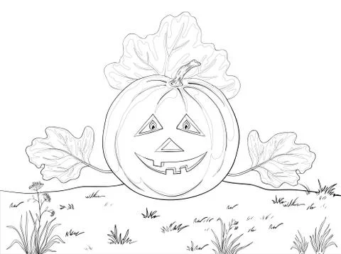 Pumpkin Jack O Lantern, contours Stock Illustration