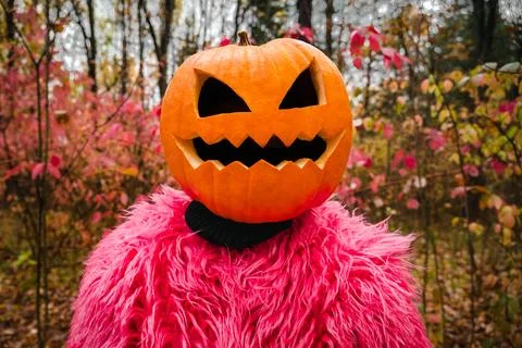 Pumpkin knight Stock Photos