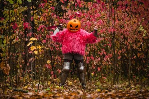 Pumpkin knight Stock Photos