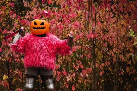 Pumpkin knight Stock Photos