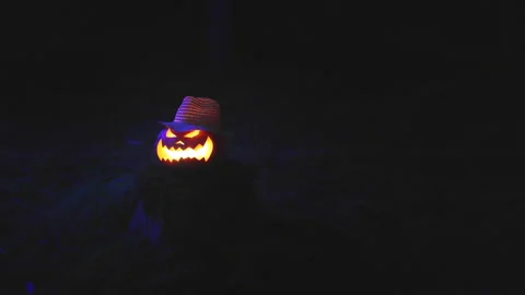 Pumpkin lantern burning dark forest the traditional Halloween holiday. Stock Footage 162546675