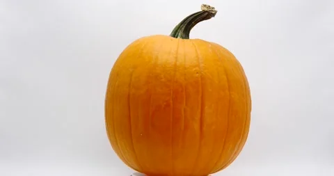 Pumpkin large and round spinning slowly isolated on white Stock Footage 218411849