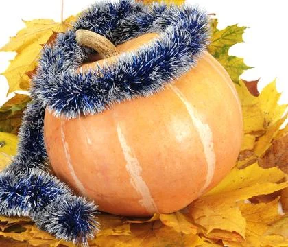 Pumpkin on leaf Stock Photos