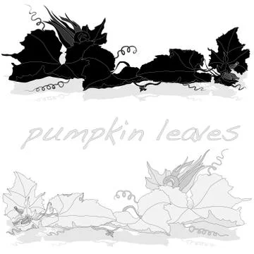Pumpkin leaf vector Stock Illustration