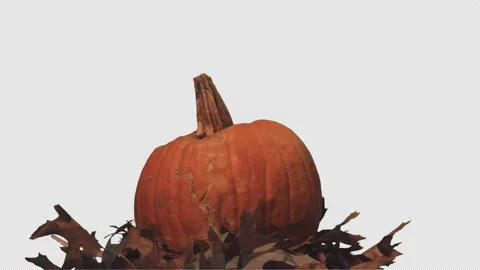 A pumpkin in leaves decays - time lapse, alpha channel, 4K. Stock Footage 196925150