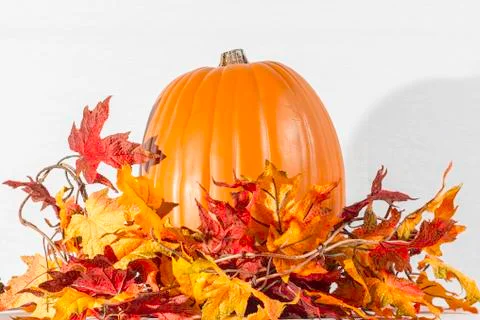Pumpkin leaves Stock Photos