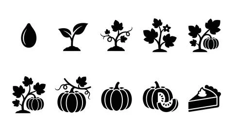 Pumpkin life cycle with pie slice, sprout pumpkin plant, pumpkin seeds, rip.. Stock Illustration