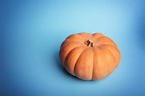 Pumpkin on a light blue background. Stock Photos