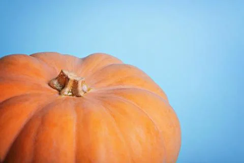 Pumpkin on a light blue background. Fotos de archivo