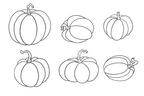 Pumpkin line art. Stock Illustration