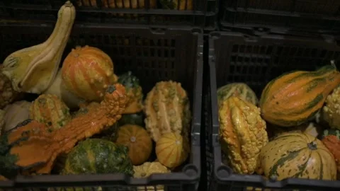 Pumpkin in local market mexico medium shot Stock Footage 339843380
