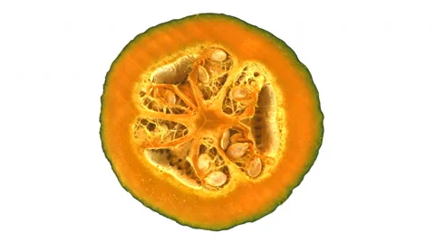 Pumpkin Loop UHD-UHD Video stock 56196435