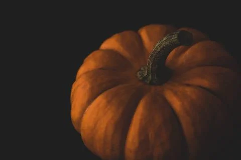 Pumpkin macro close up selective focus Stock Photos
