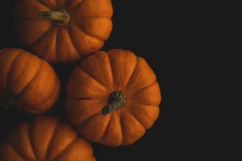 Pumpkin macro close up selective focus Stock Photos