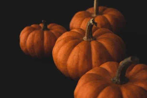 Pumpkin macro close up selective focus Stock Photos