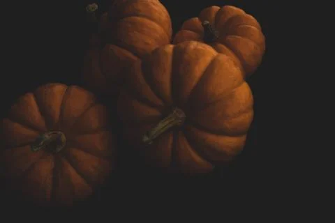 Pumpkin macro close up selective focus Stock Photos